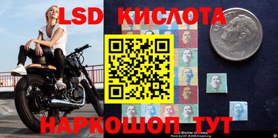 jwh Краснодар