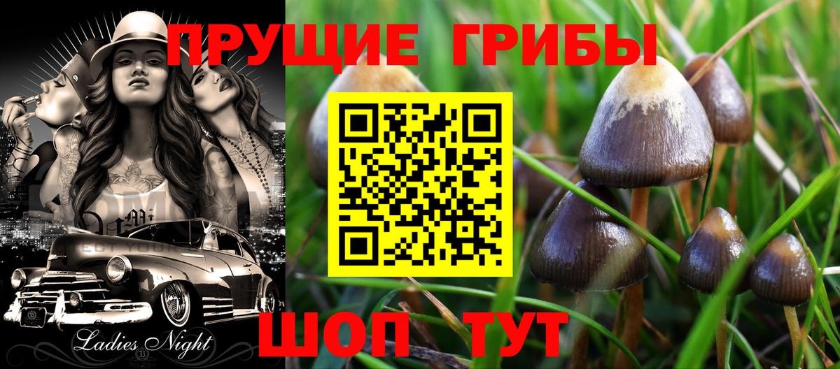 Псилоцибиновые грибы мухоморы Урус-Мартан